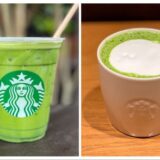 アイスも復活！スタバの抹茶ティーラテのおすすめカスタム10選！ホットとアイスのカロリーや値段など全部紹介！